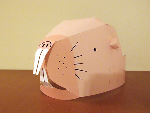 かわいい！ハコネサンショウウオペーパーキャップ